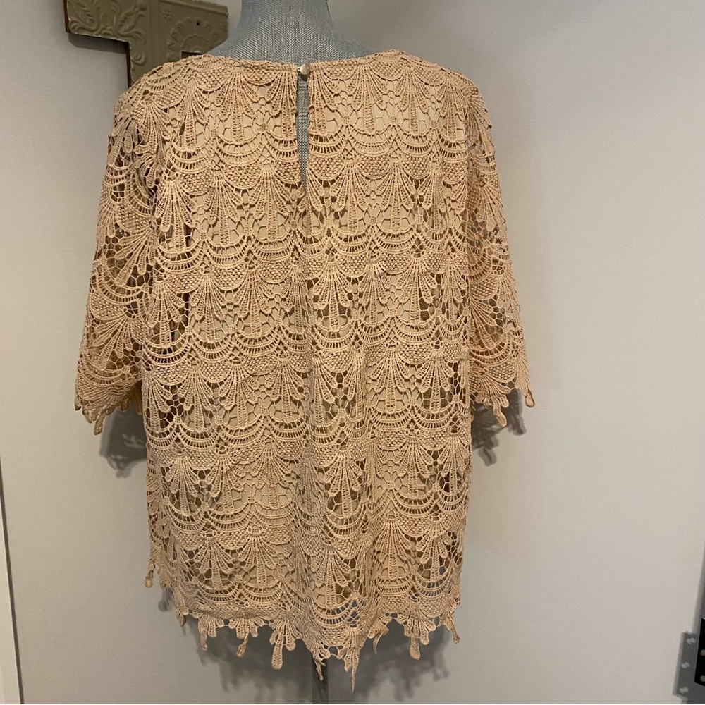Adiva short sleeve lined lace top - Picture 4 of 7